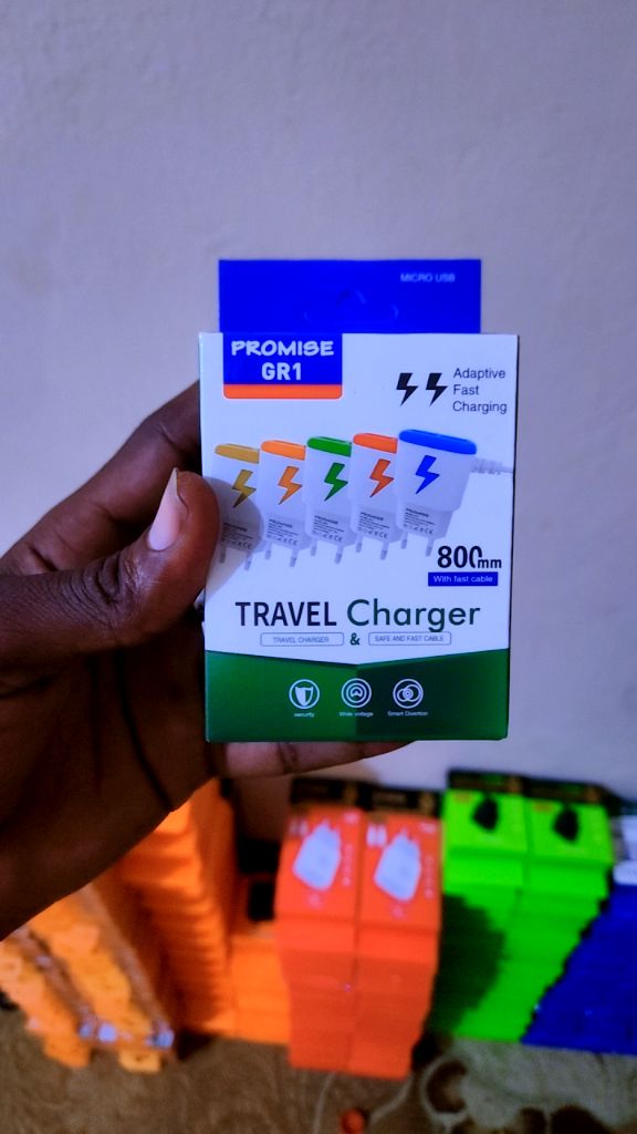 PROMISE GR1 CHARGER